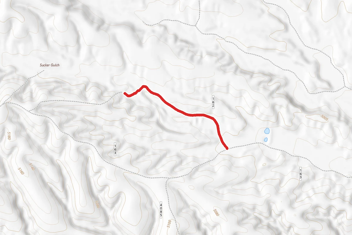 Louisiana Gulch
