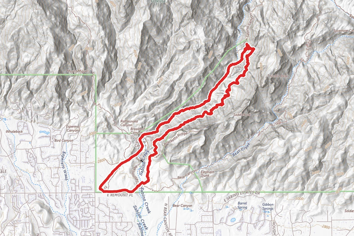 Sabino to Phoneline Loop