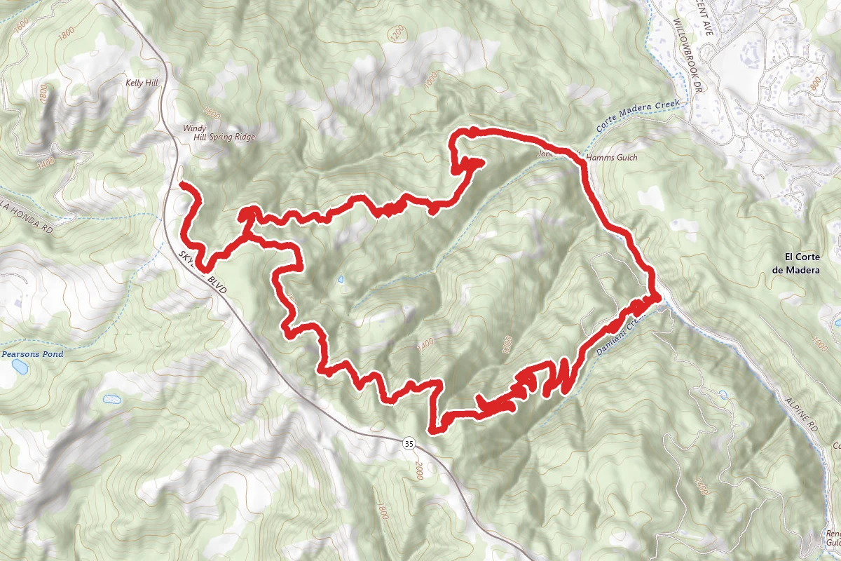 Hamms Gulch, Eagle Trail, and Lost Trail Loop