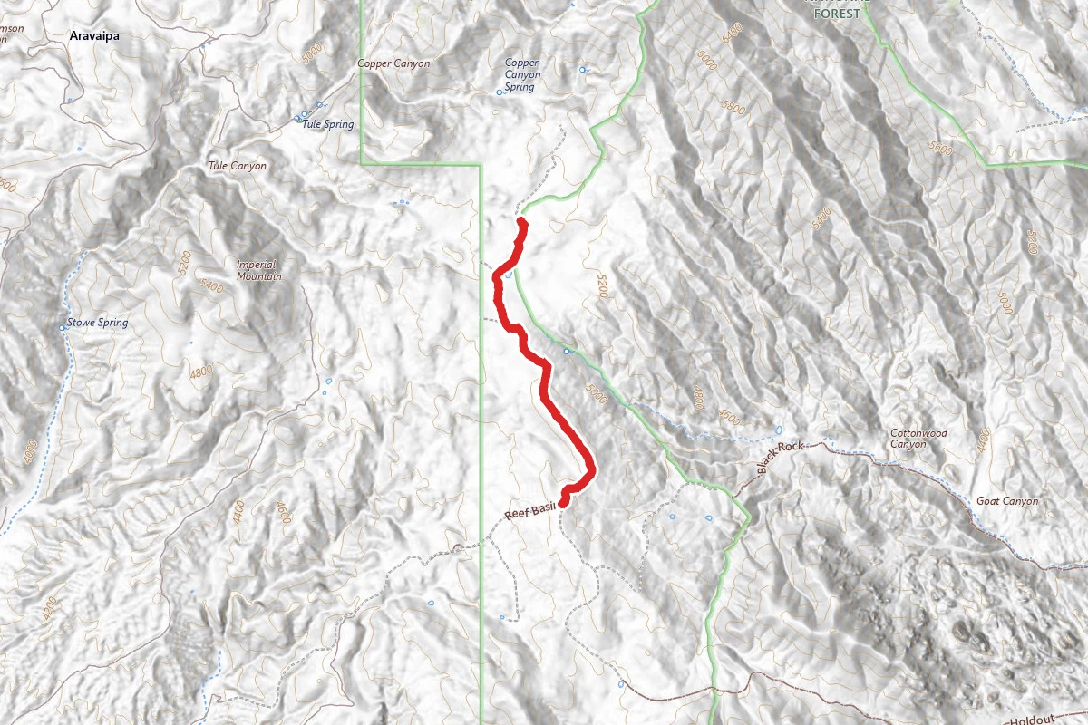 Copper Canyon Spring