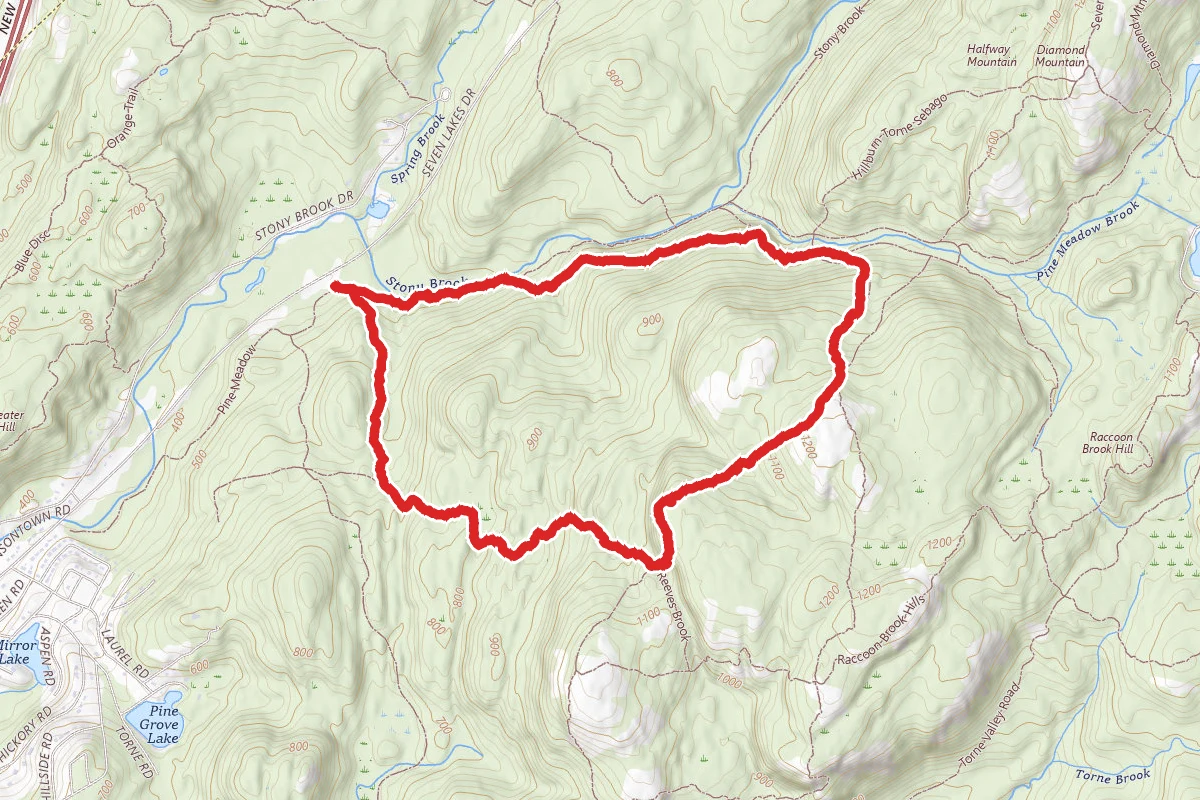 Reeves Brook Loop Trail
