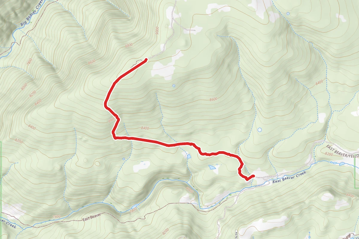 Ellison Mountain Trail