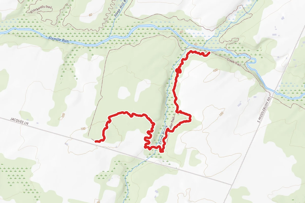 Cedar Trail
