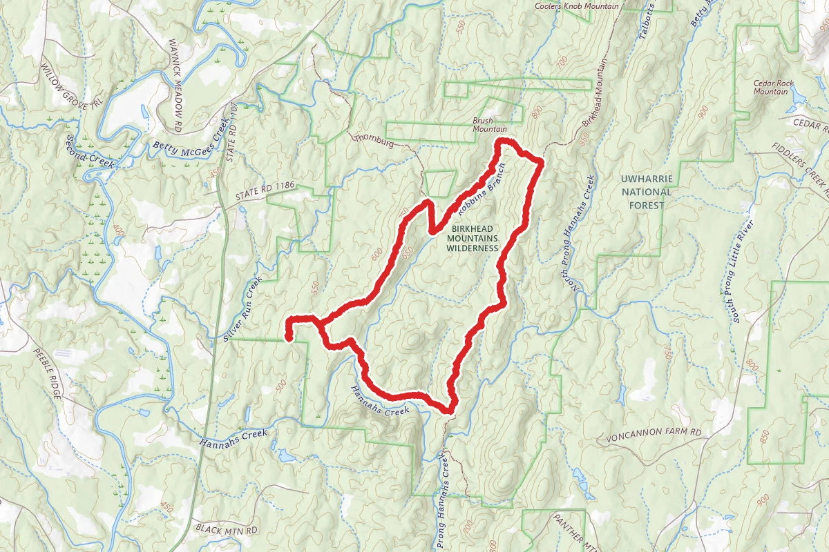 Robbins Branch, Birkhead Mountain and Hannah's Creek Trail Loop