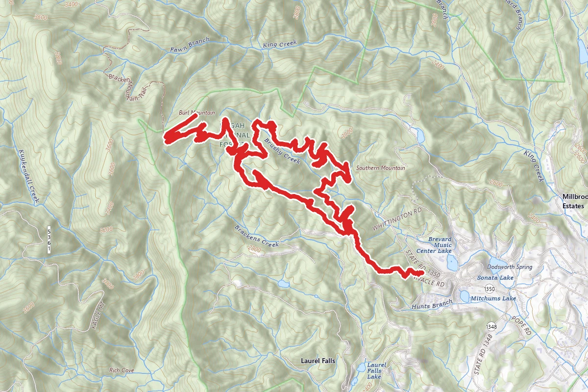 Bracken Mountain Trail