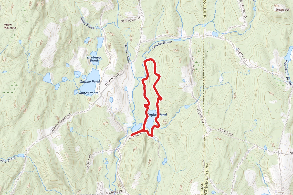Taylor Pond Trail