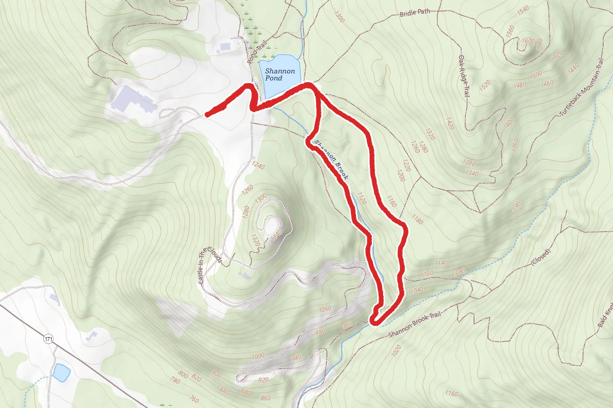 Shannon Brook Trail Loop