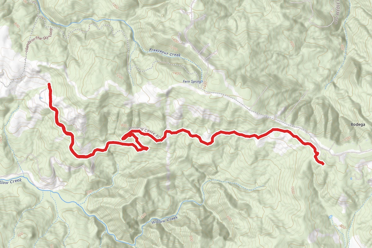 Willow Creek Road Trail