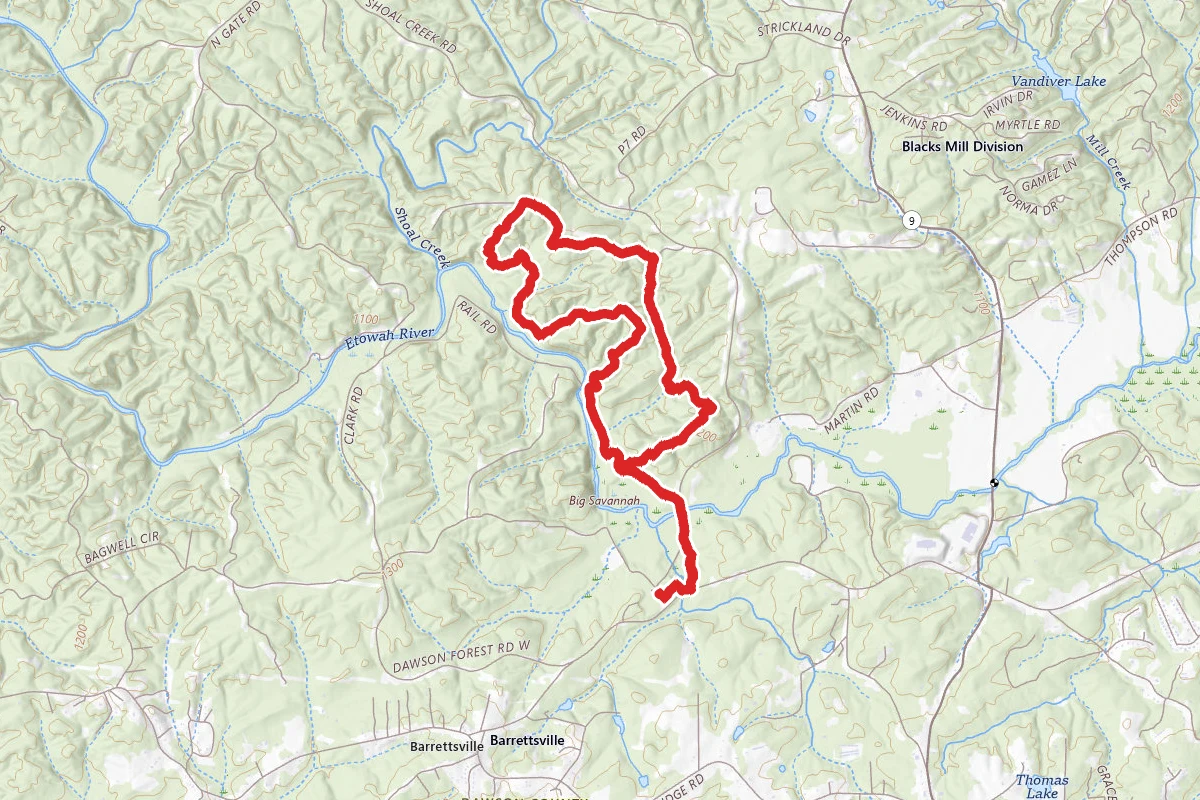 Dawson Forest Wildlife Management Area Trails