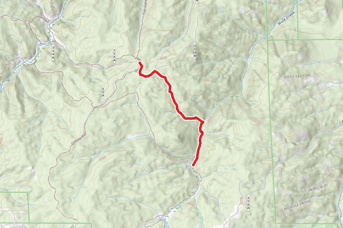 Broken Swing Arm Trail