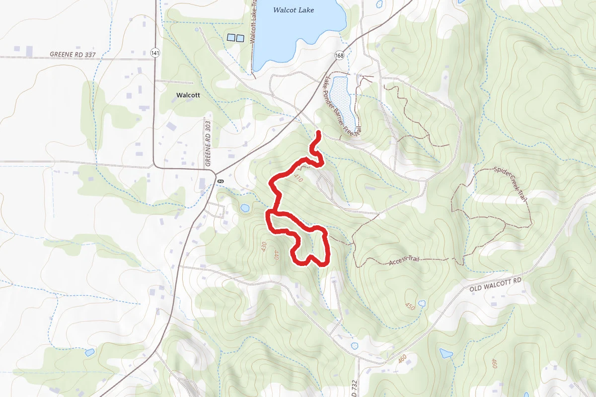 Dancing Rabbit Trail