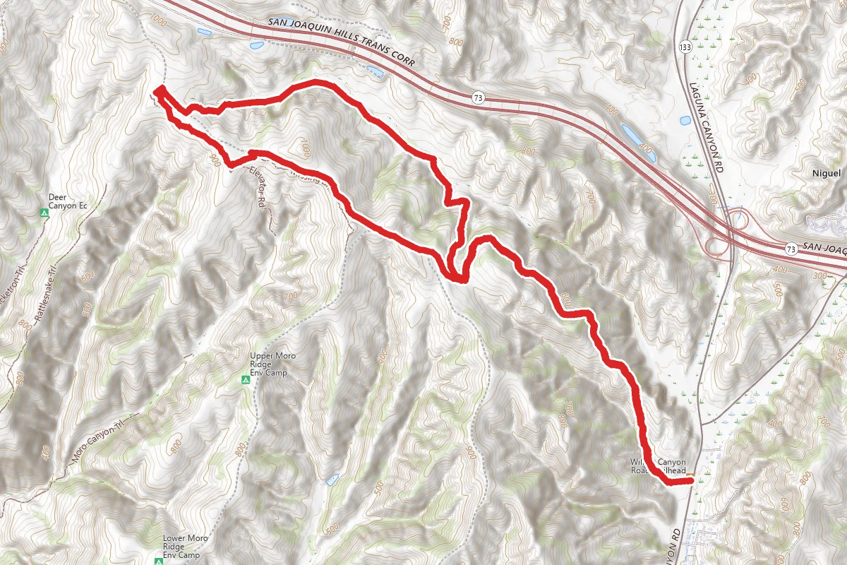 Willow Trail, Lizard Tail, Laurel Spur Trail