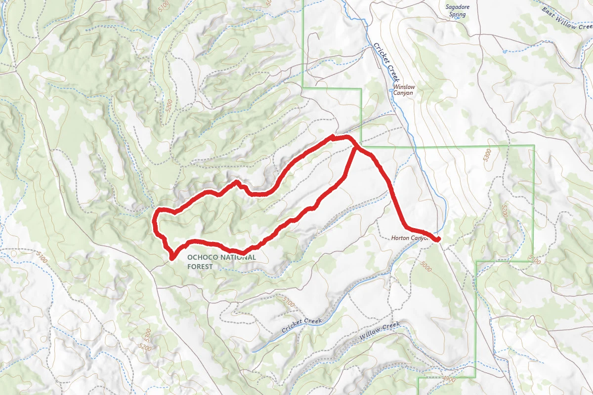 Winslow Canyon Ski Trail