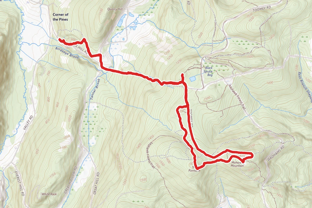 Cathedral Pines and Mohawk Mountain Trail