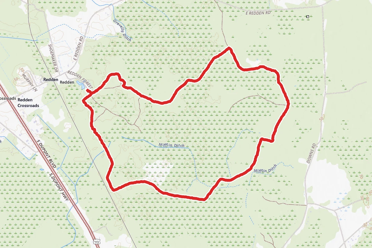 Redden State Forest Loop