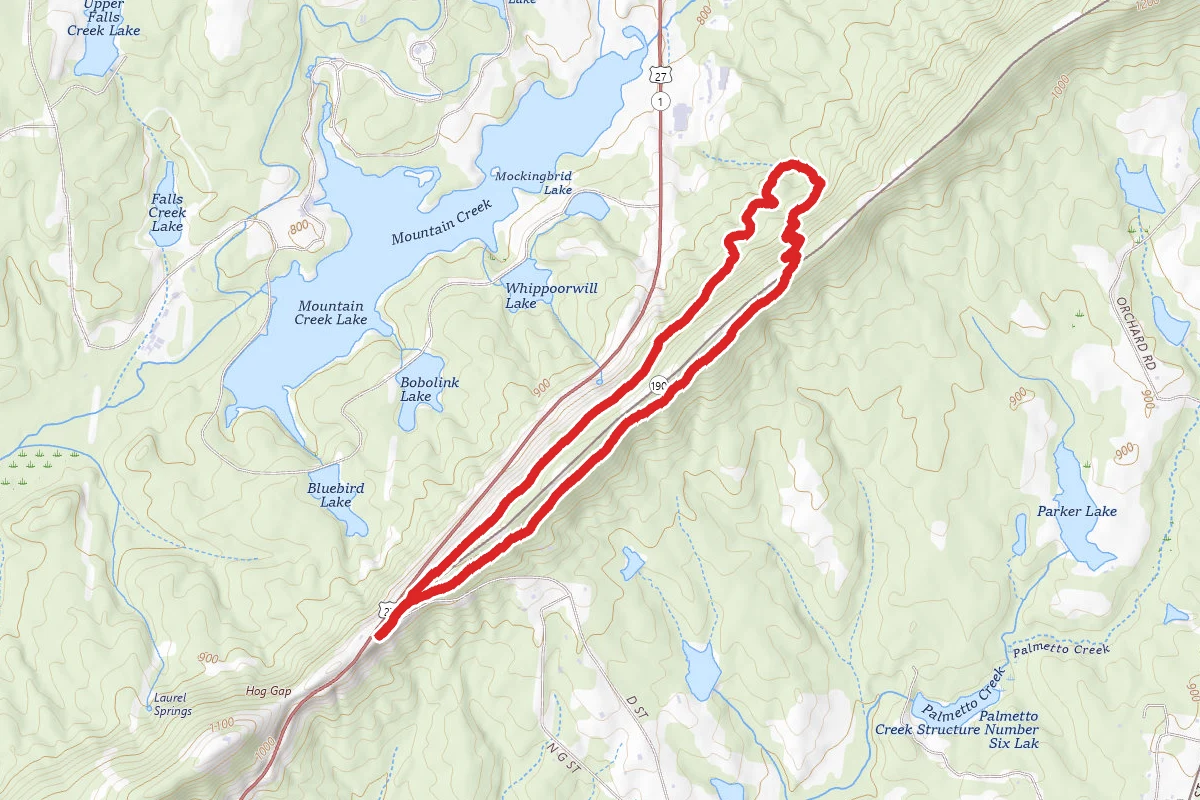 Mountain Creek Lake Overlook Loop