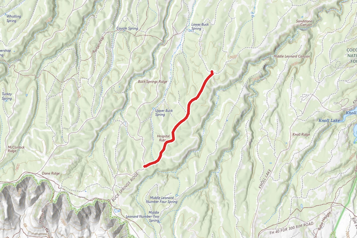 Hospital Ridge