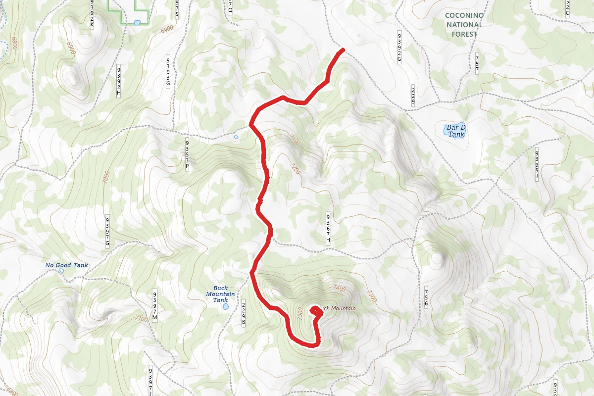 Buck Mountain