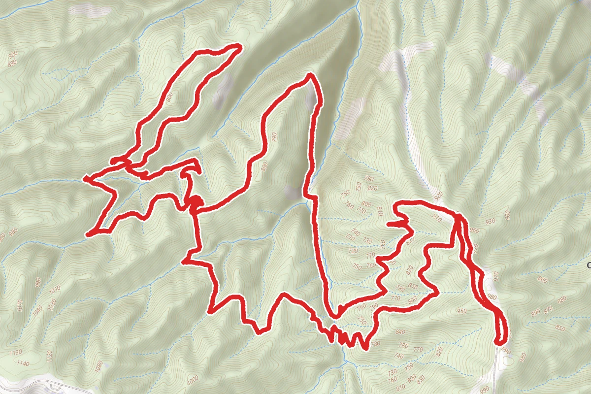 Wildwood, Maple, Firelane, Nature Loop