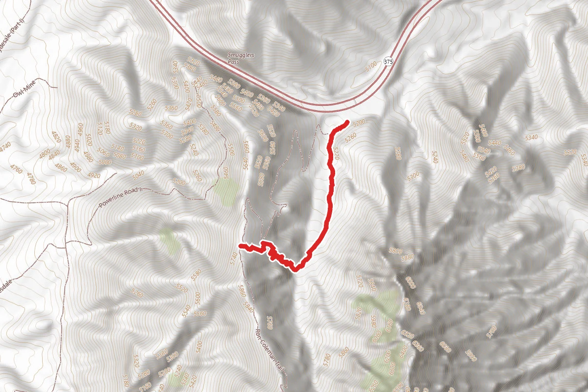 Ron Coleman Short Trail