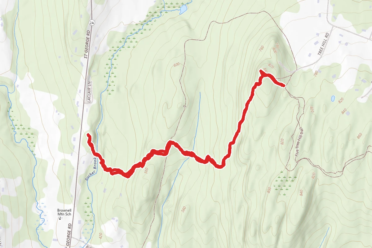 Overlook via Sucker Brook Hollow Trail