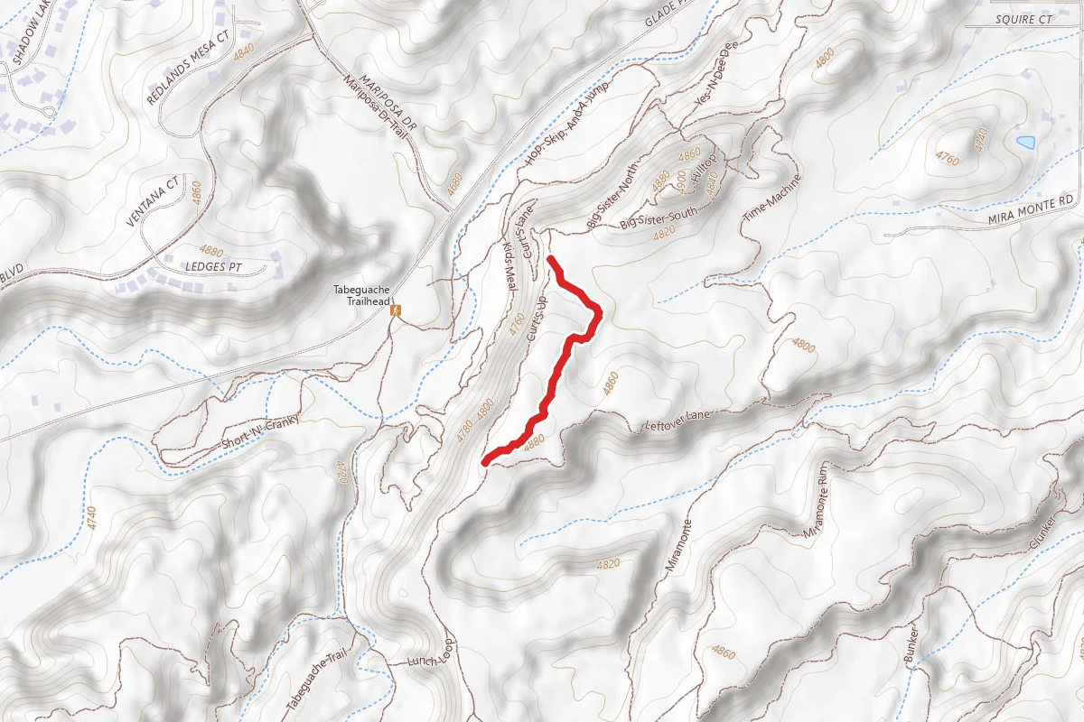Curt's Down Trail