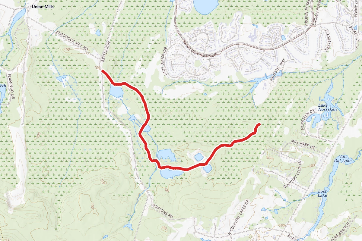 Peaceful Partners, Bog and Long Path Trail