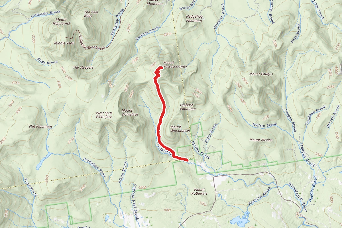 Mount Passaconaway via Dicey's Mill Trail