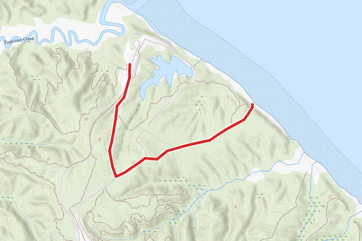Mattaponi Trail to Fossil Beach