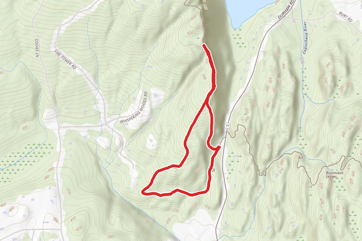 Bluff's Head