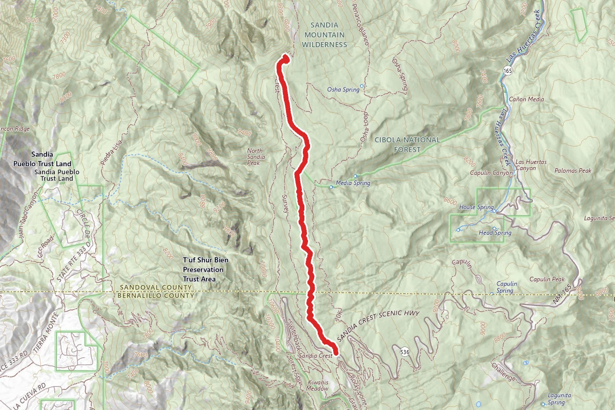 Ellis Trail