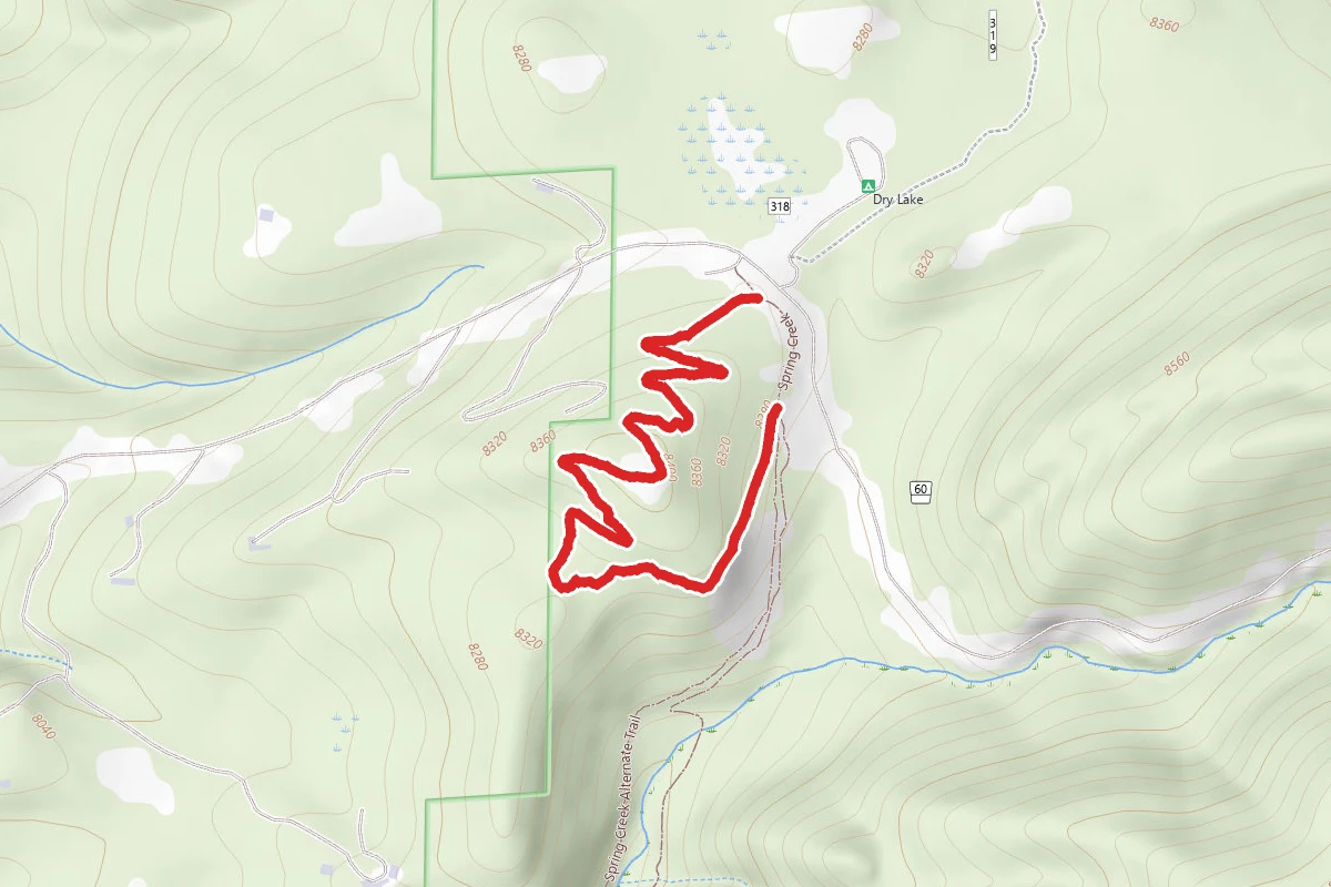 Panorama Trail