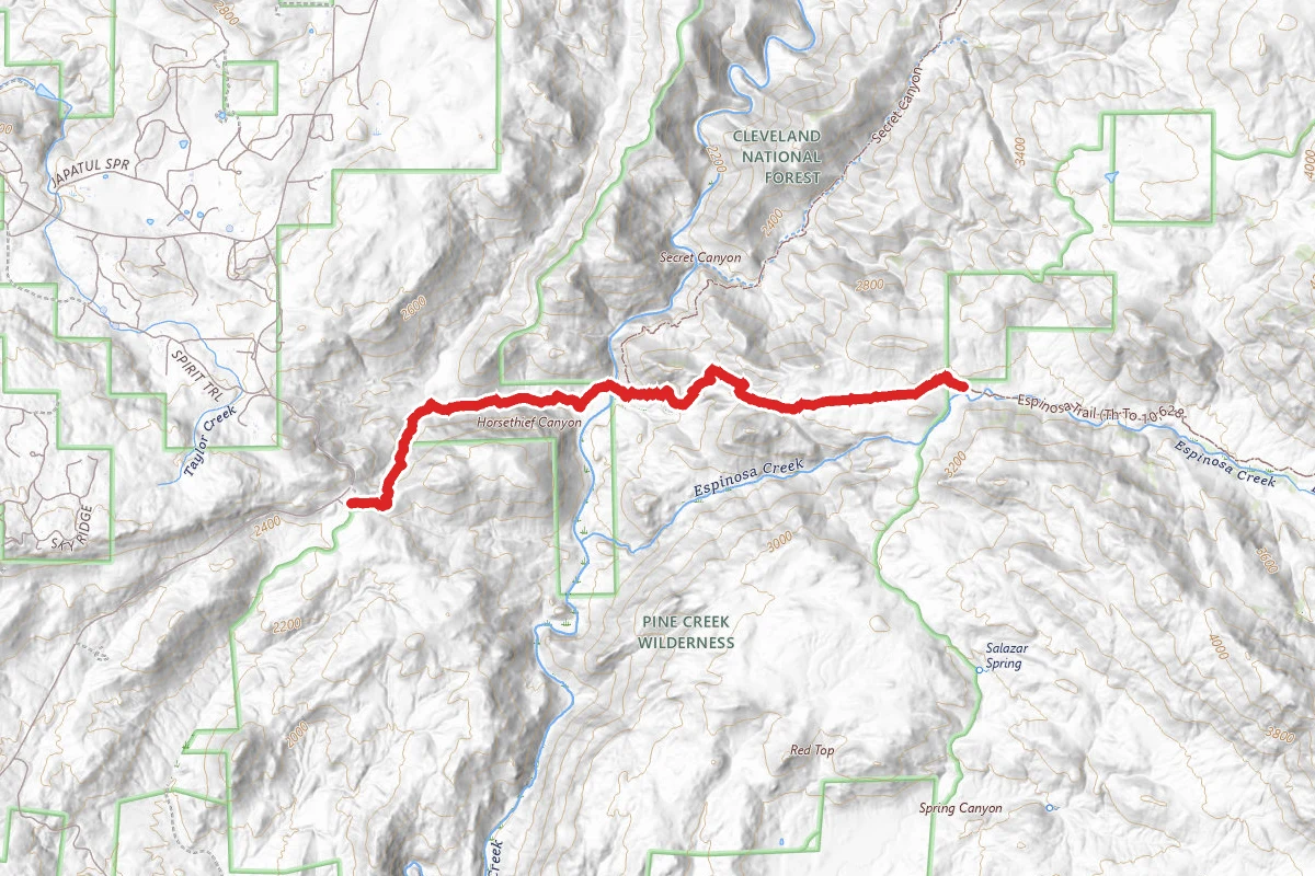 Espinosa Trail (Th to 10,628'