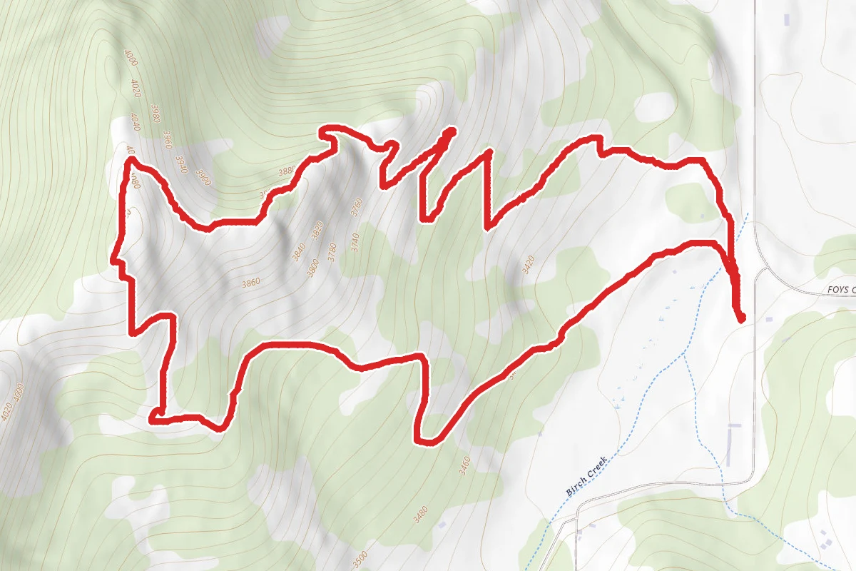 Notch Trail, Overlook Trail, and Plum Creek Road Loop