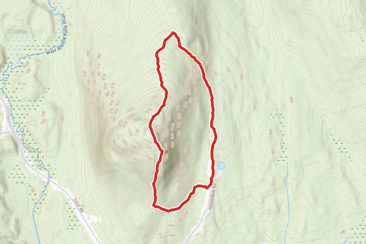 Tully Mountain Loop Trail