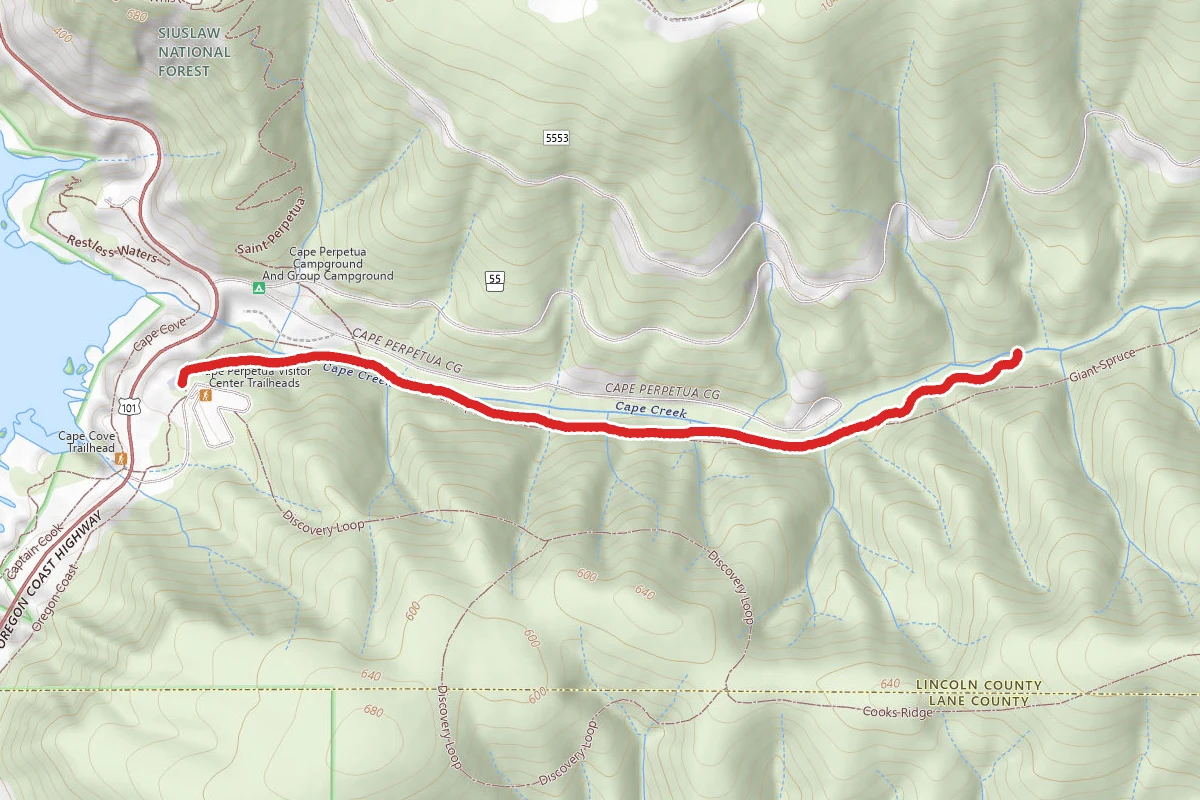 Giant Spruce Trail