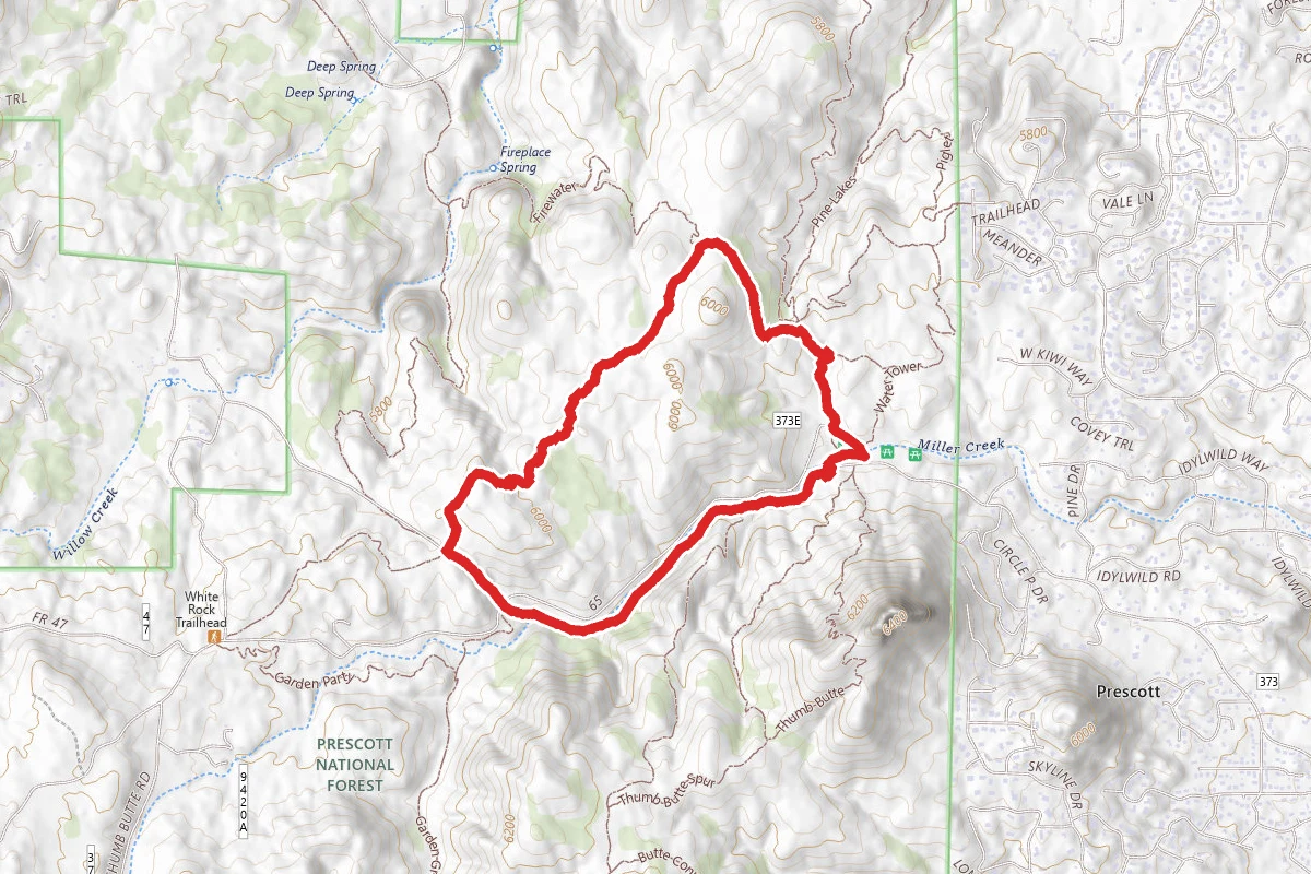 318 West Trail and Trail 367 Loop