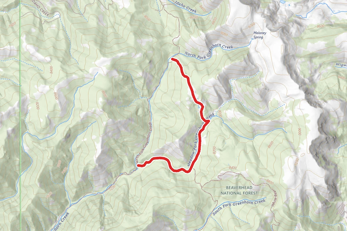 Meadow Fork