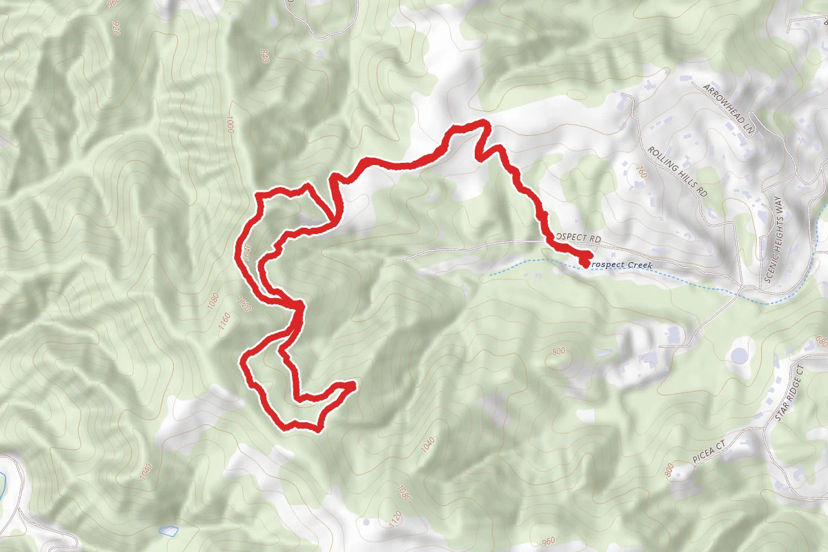 Hayfield Trail to Toyon and Bay View Loop
