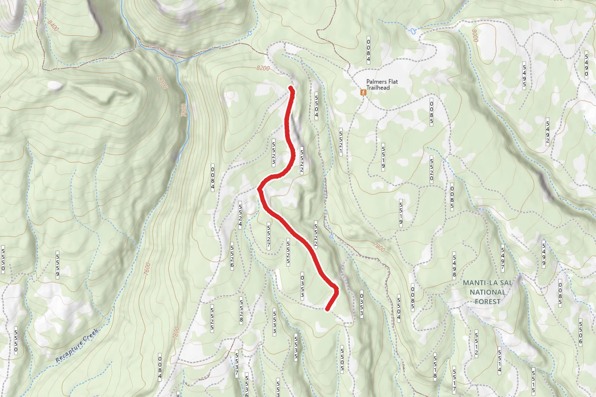 Allen Canyon East Slope