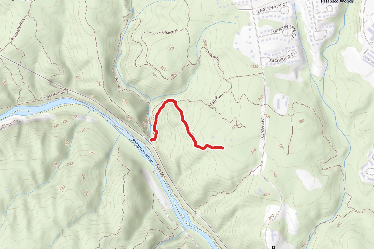 Forest Glen Trail