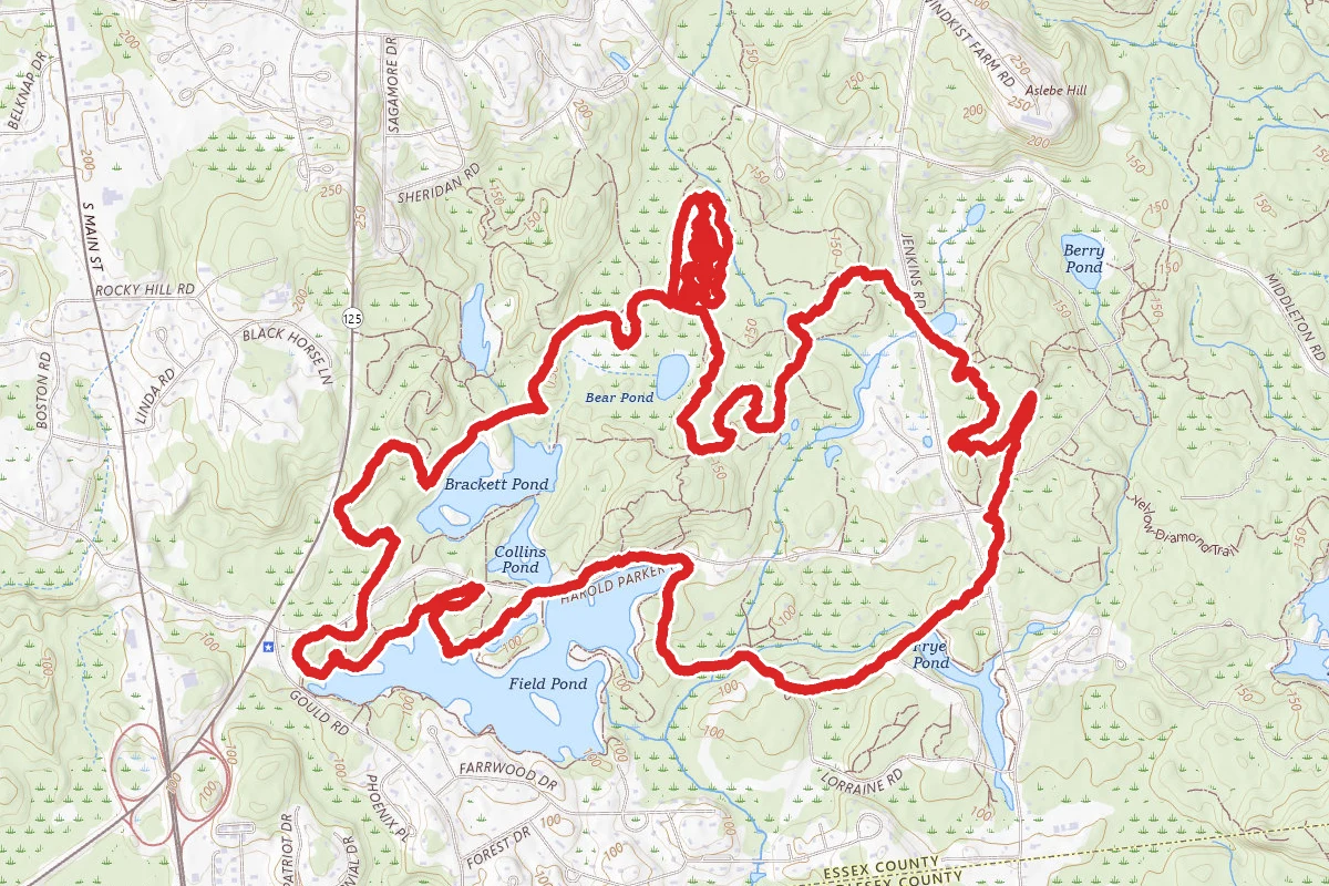 Harold Parker Field Pond Loop Trail