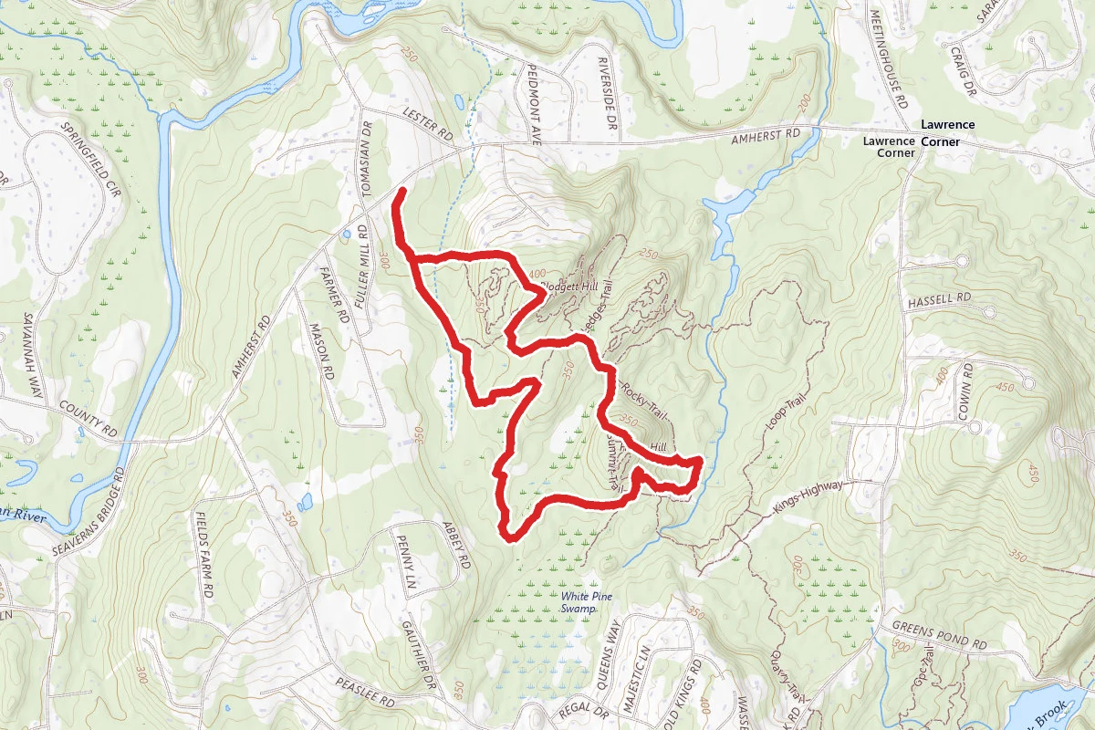 Blodgett Hill and Rocky Trail Loop