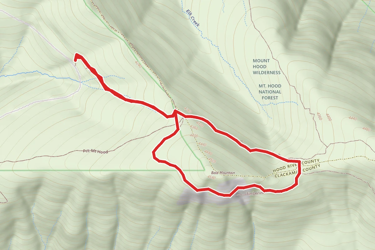 Top Spur and Timerline Trail Loop
