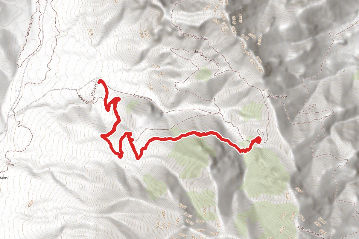 Cottonwood Spring Trail