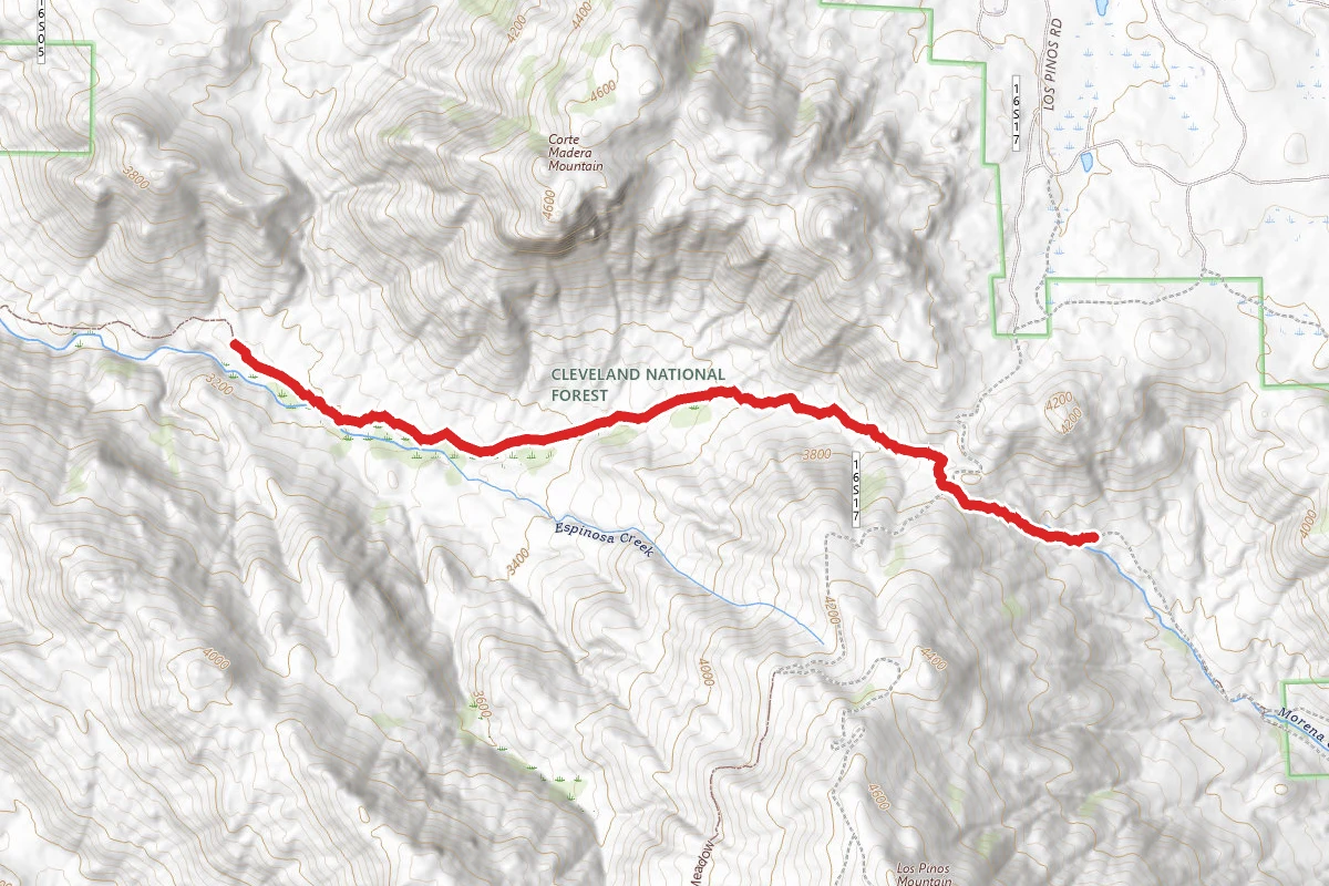 Espinosa Trail (Th to 10,628'