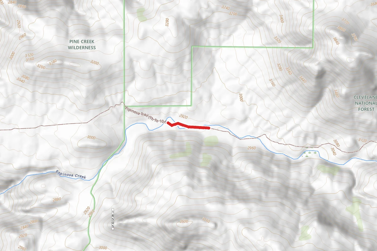 Espinosa Trail (Th to 10,628'