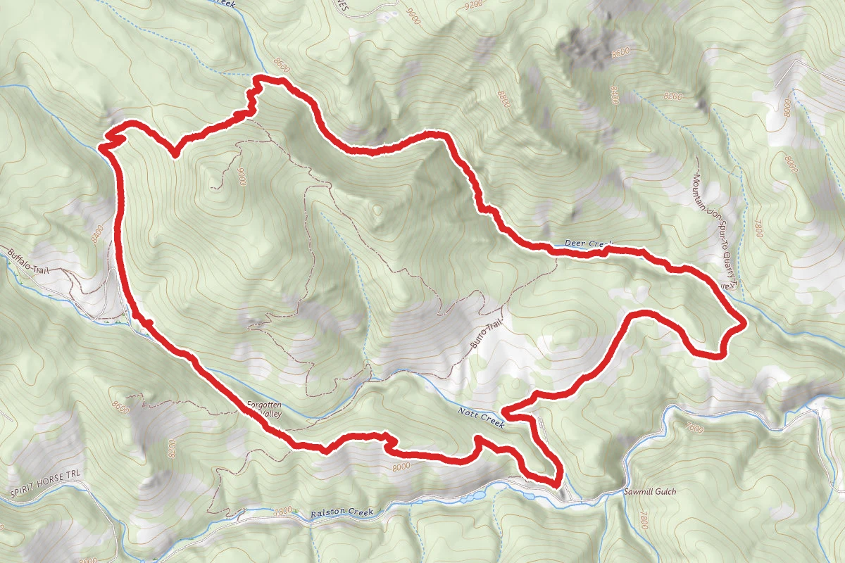Mountain Lion Trail