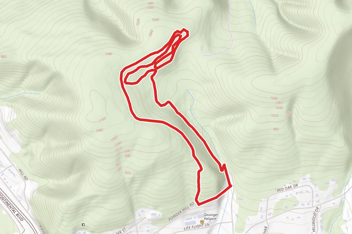 Life, Flight and Kidney Stone Trail