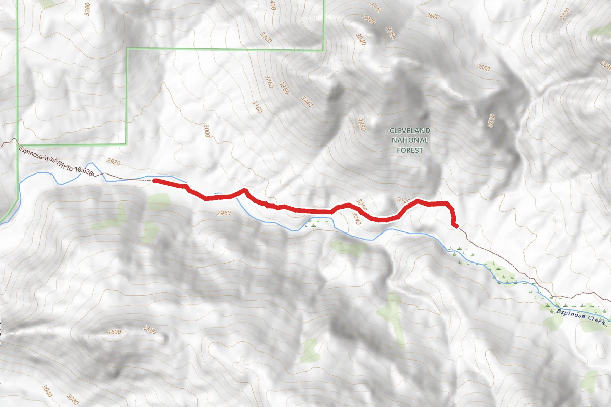 Espinosa Trail (Th to 10,628'